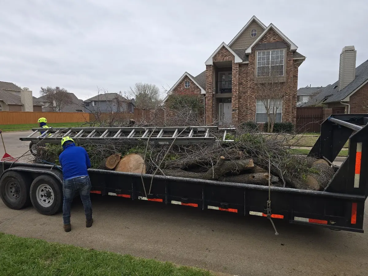 Expert Tree Removal with proper safety equipment in Thorntown